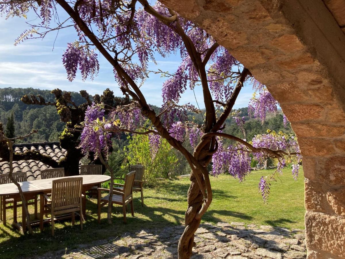 Mas De La Giralde - B&B Payzac  エクステリア 写真